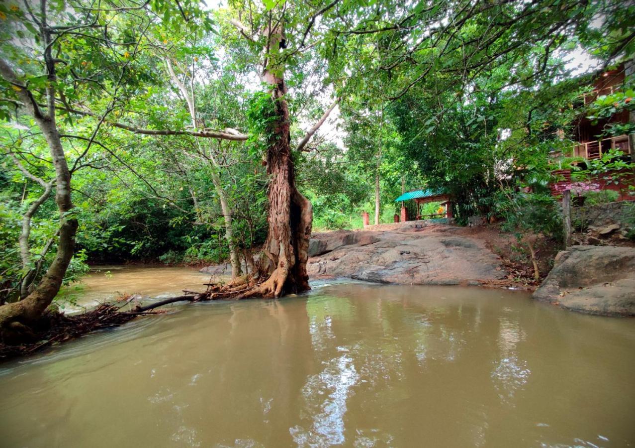 Sigiriya River Side Villa Exterior photo