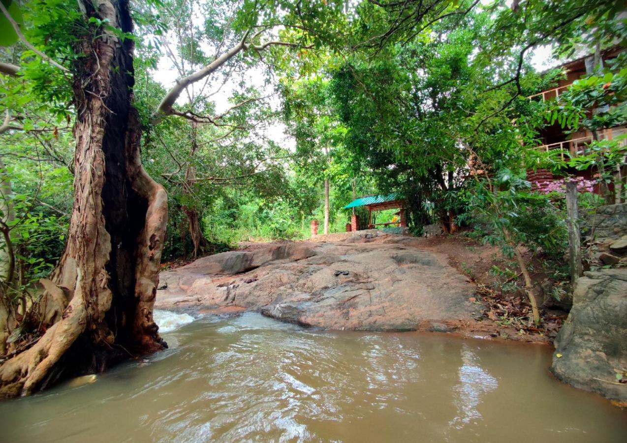 Sigiriya River Side Villa Exterior photo